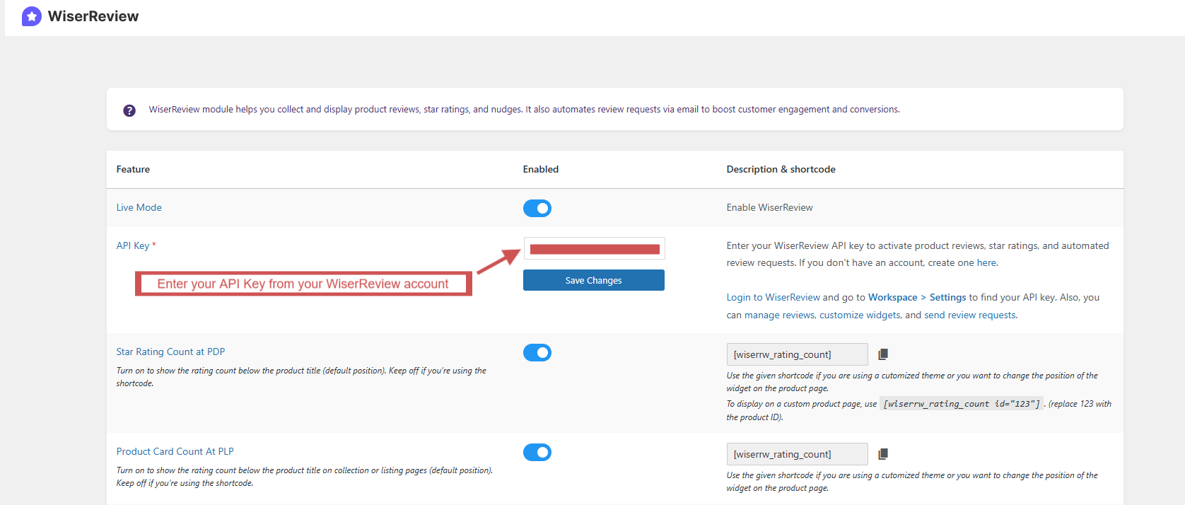Enter-your-API-Key-from-your-WiserReview-account