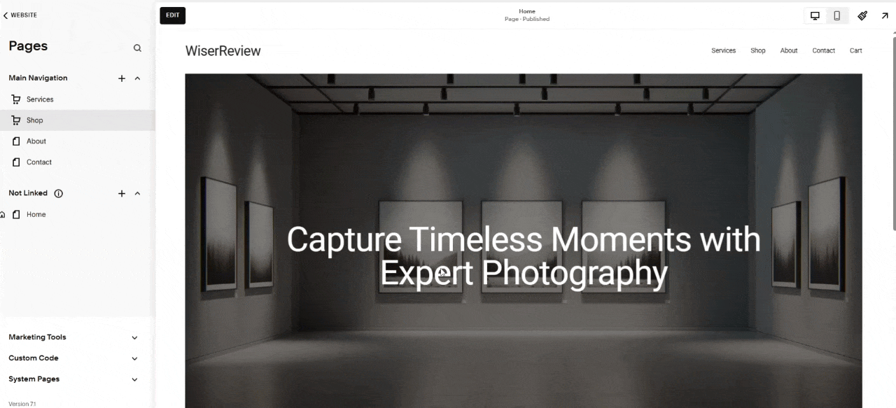 WiserReview Squarespace